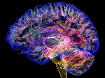逼逼高潮喷射视频网大脑植入物有助于严重头部损伤恢复